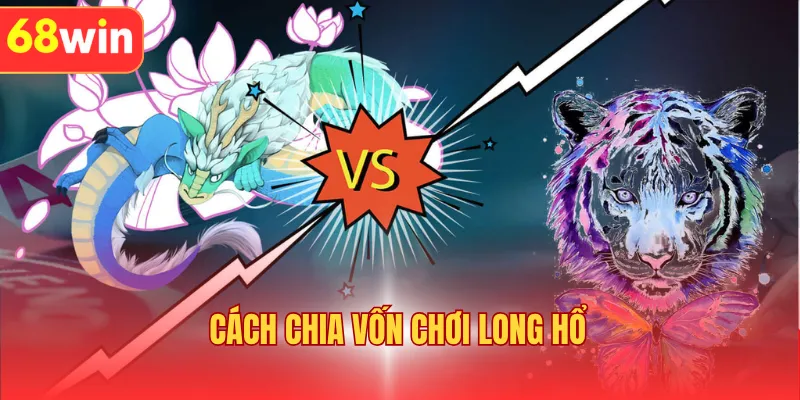 Cách Chia Vốn Chơi Long Hổ - Chiến Lược Tối Ưu Ngân Sách